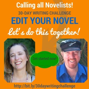 Contact Beth Barany with questions on the EDIT YOUR NOVEL Bootcamp 30-Day Writing Challenge